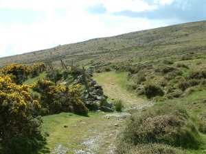 A Dartmoor Road